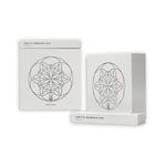 Meze Audio ALBA IEM Earphones