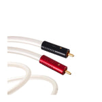 Atlas Equator Achromatic RCA Stereo Audio Cables - Groove Central